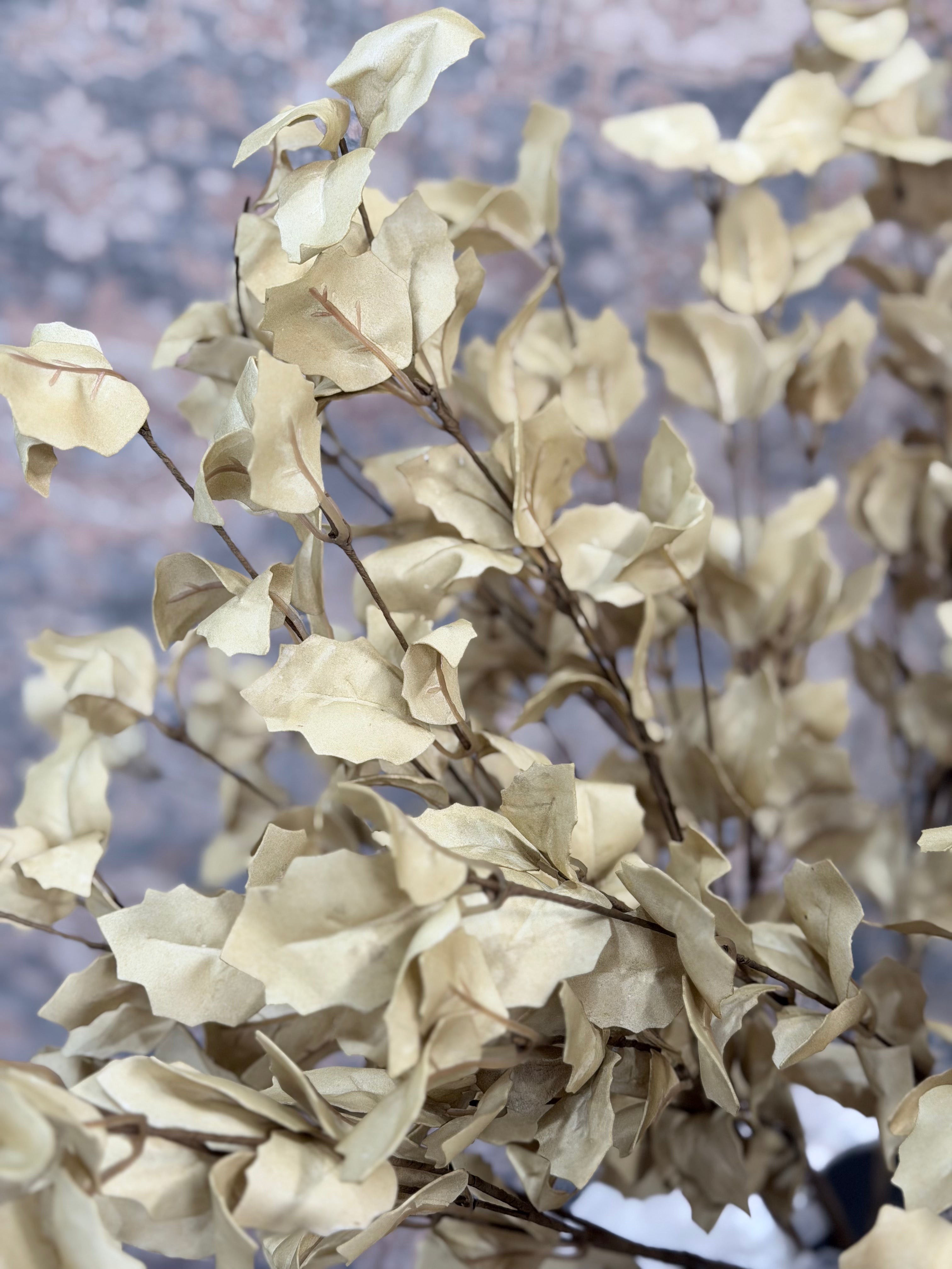Fall Beige Eva Spray