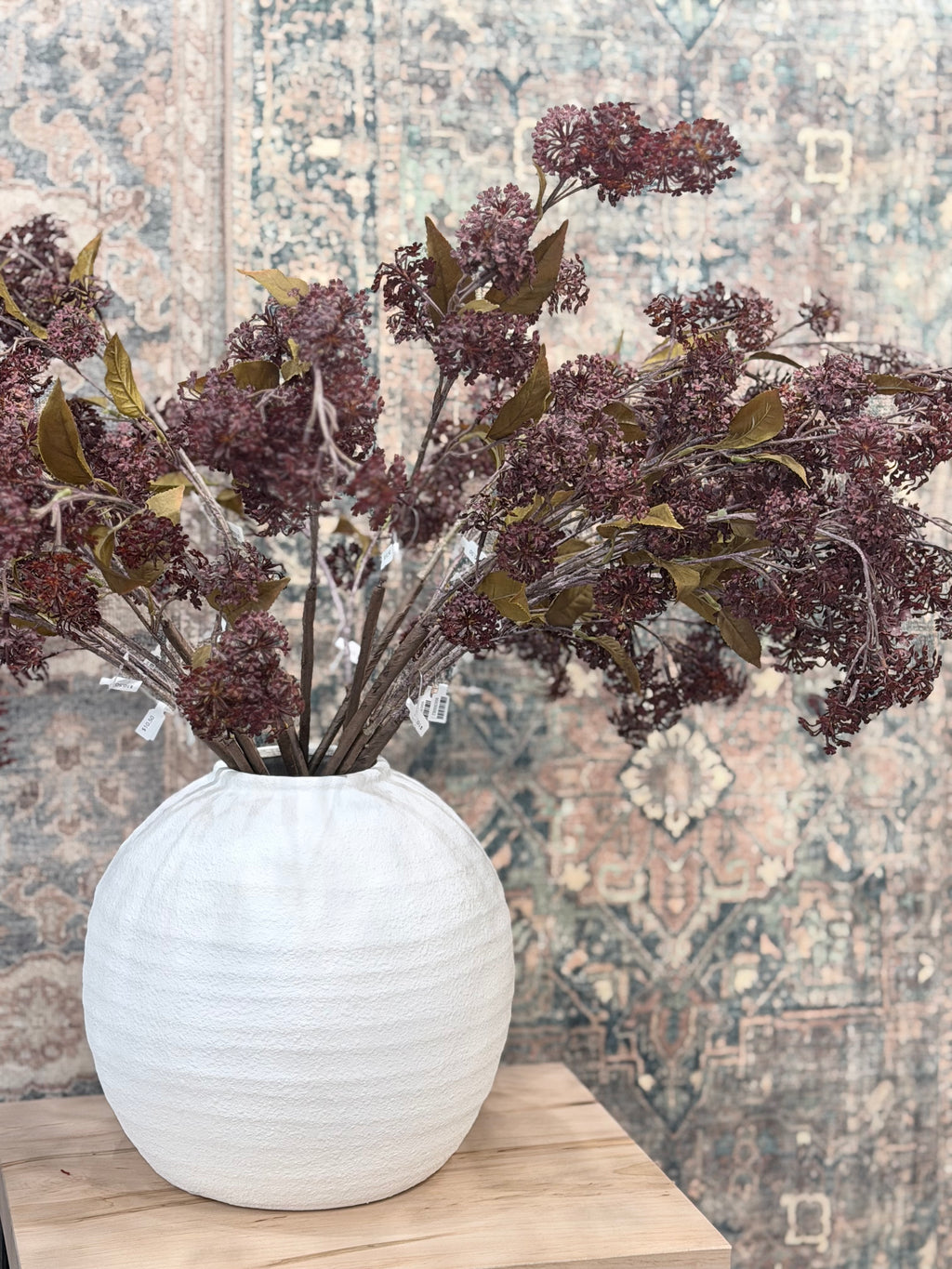 Burgundy Elderberry Stem