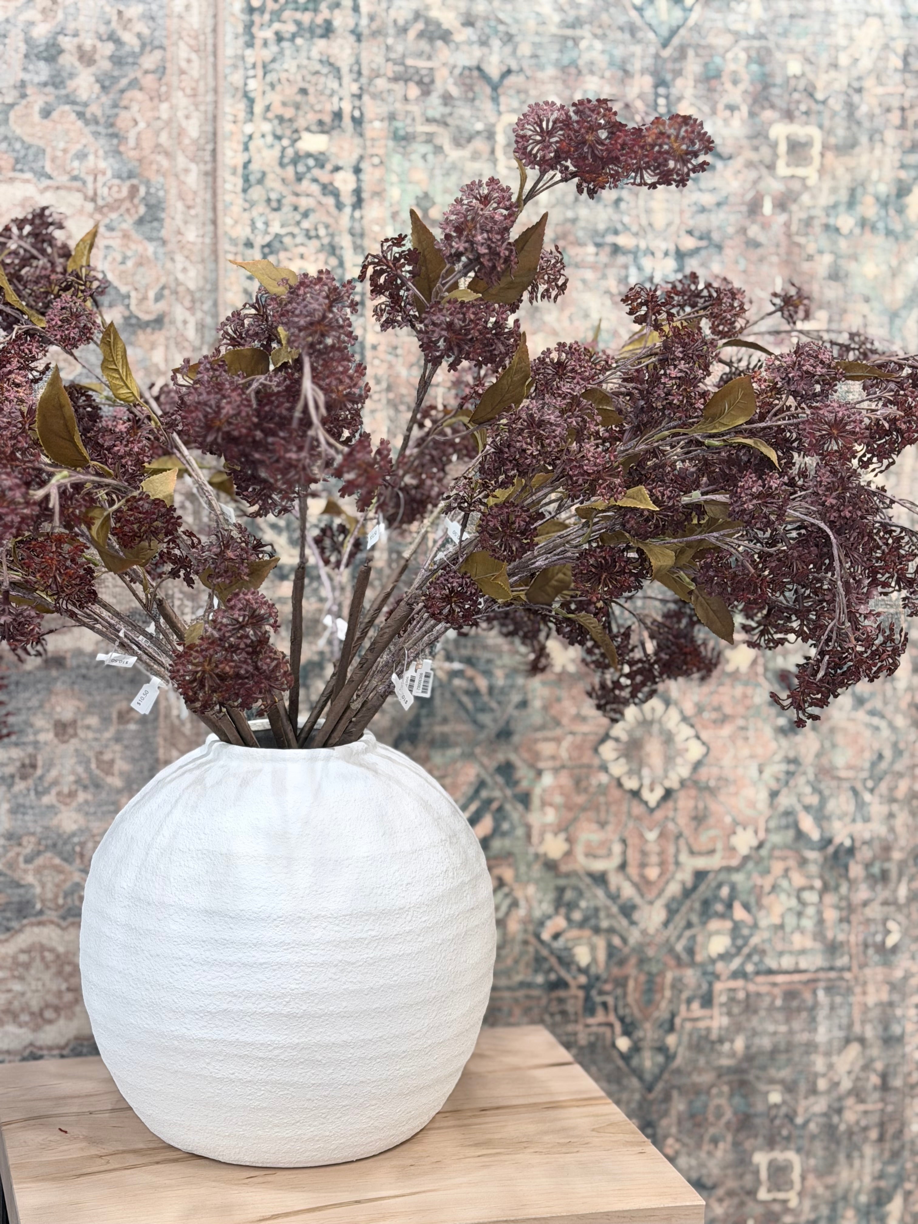 Burgundy Elderberry Stem