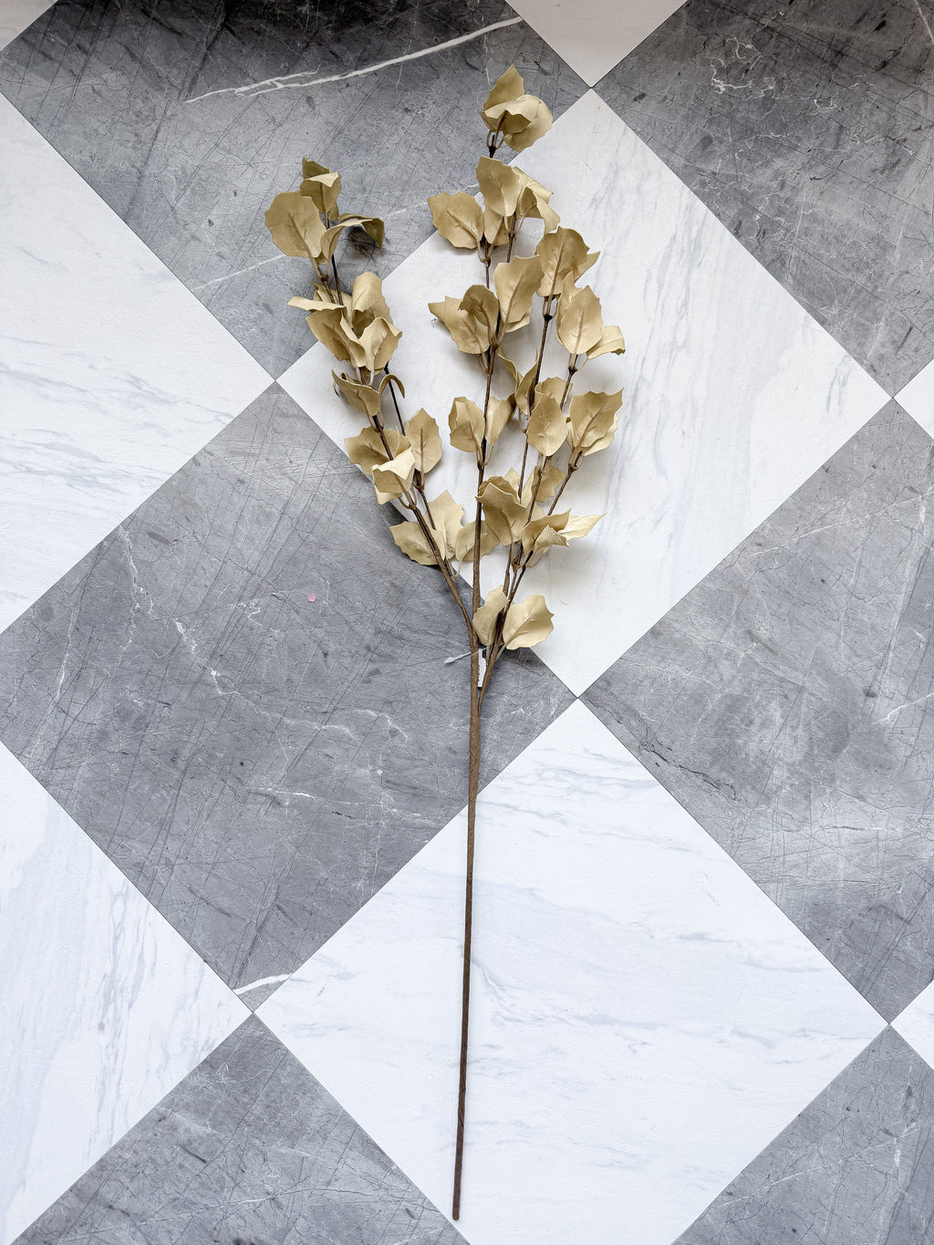 Fall Beige Eva Spray