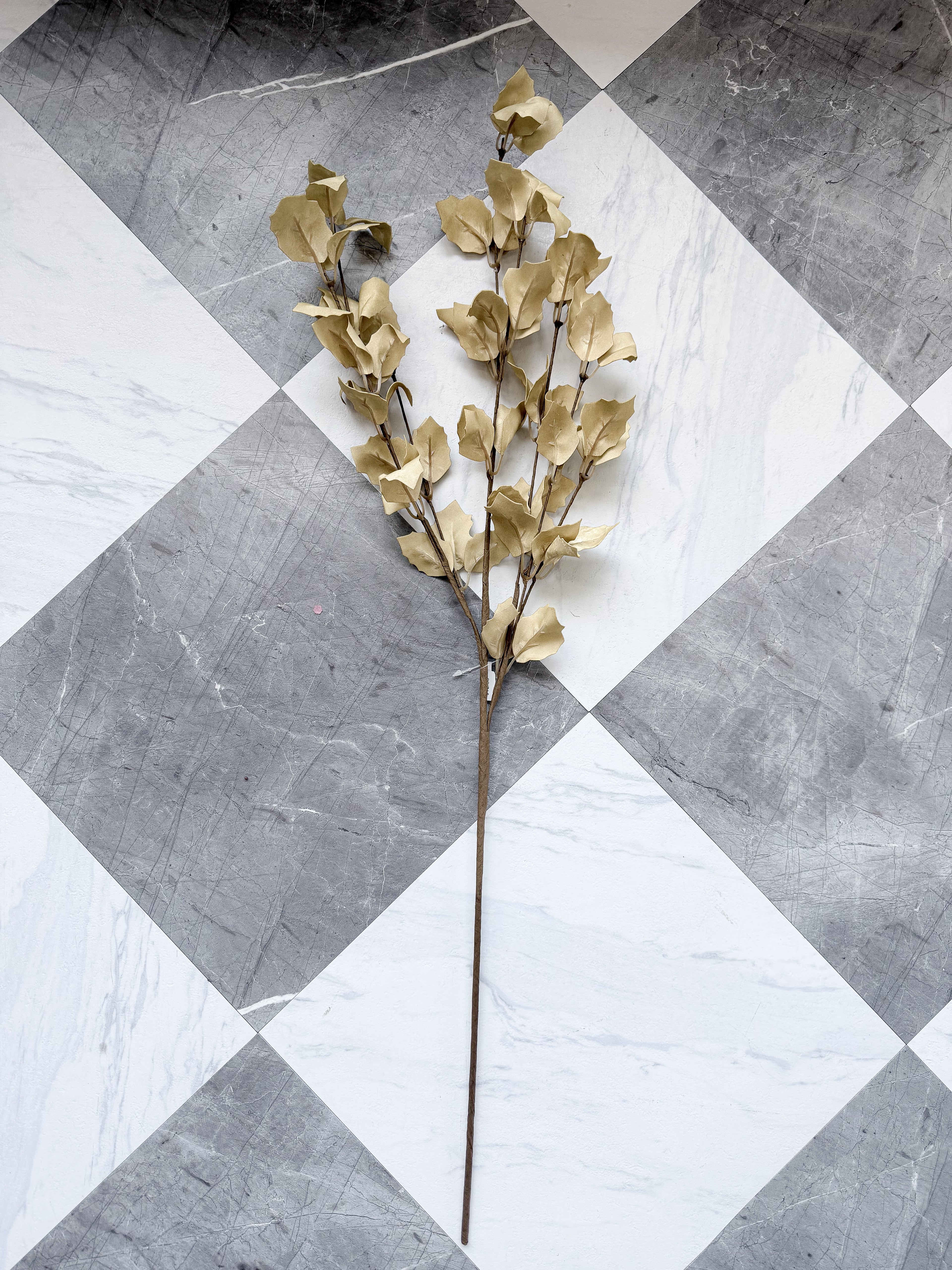 Fall Beige Eva Spray
