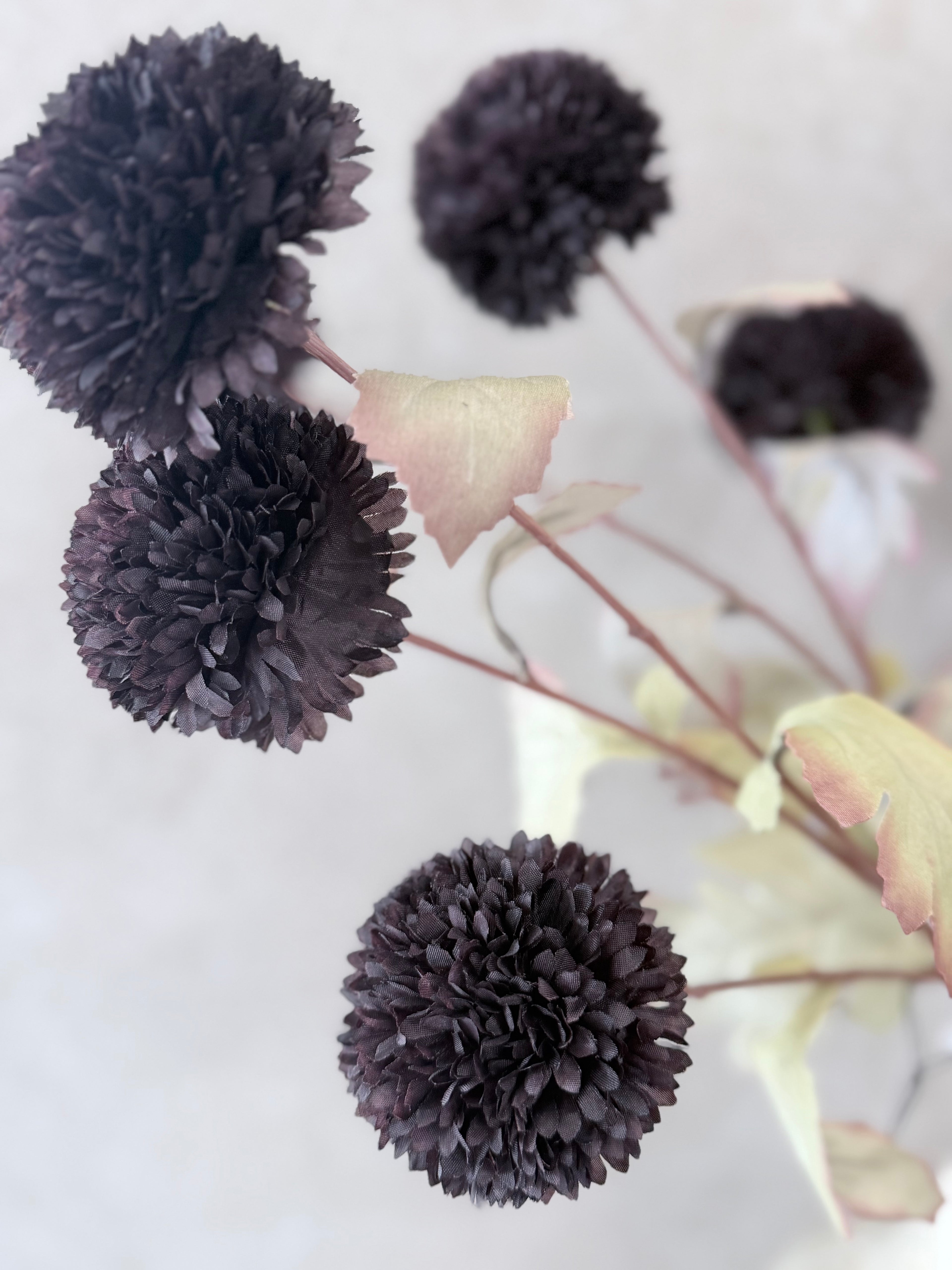30" Midnight Pom Spray