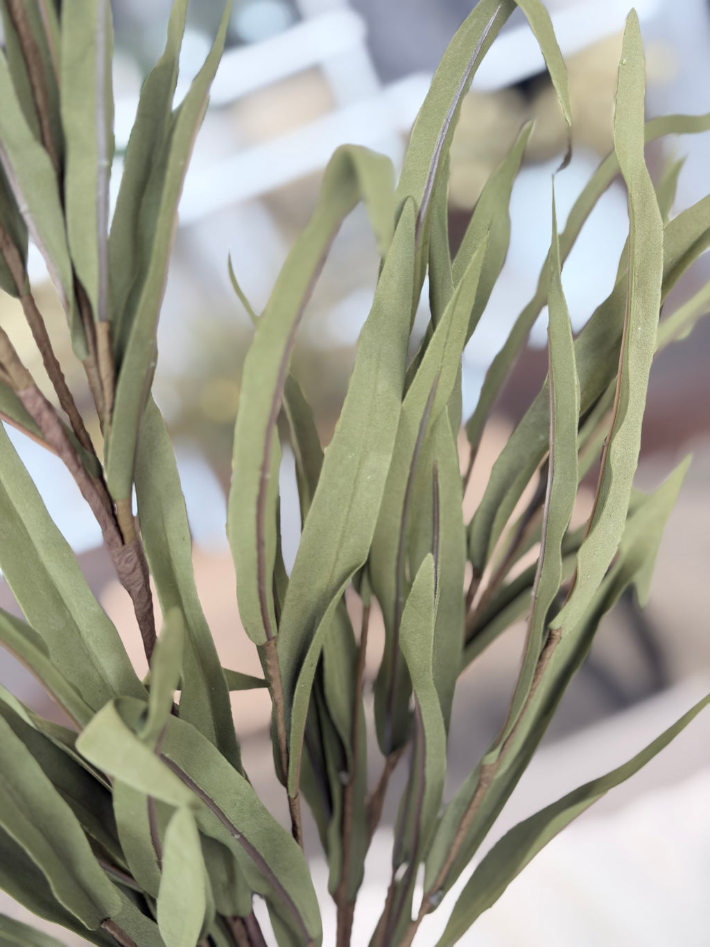 Fall Olive Eva Spray Tall