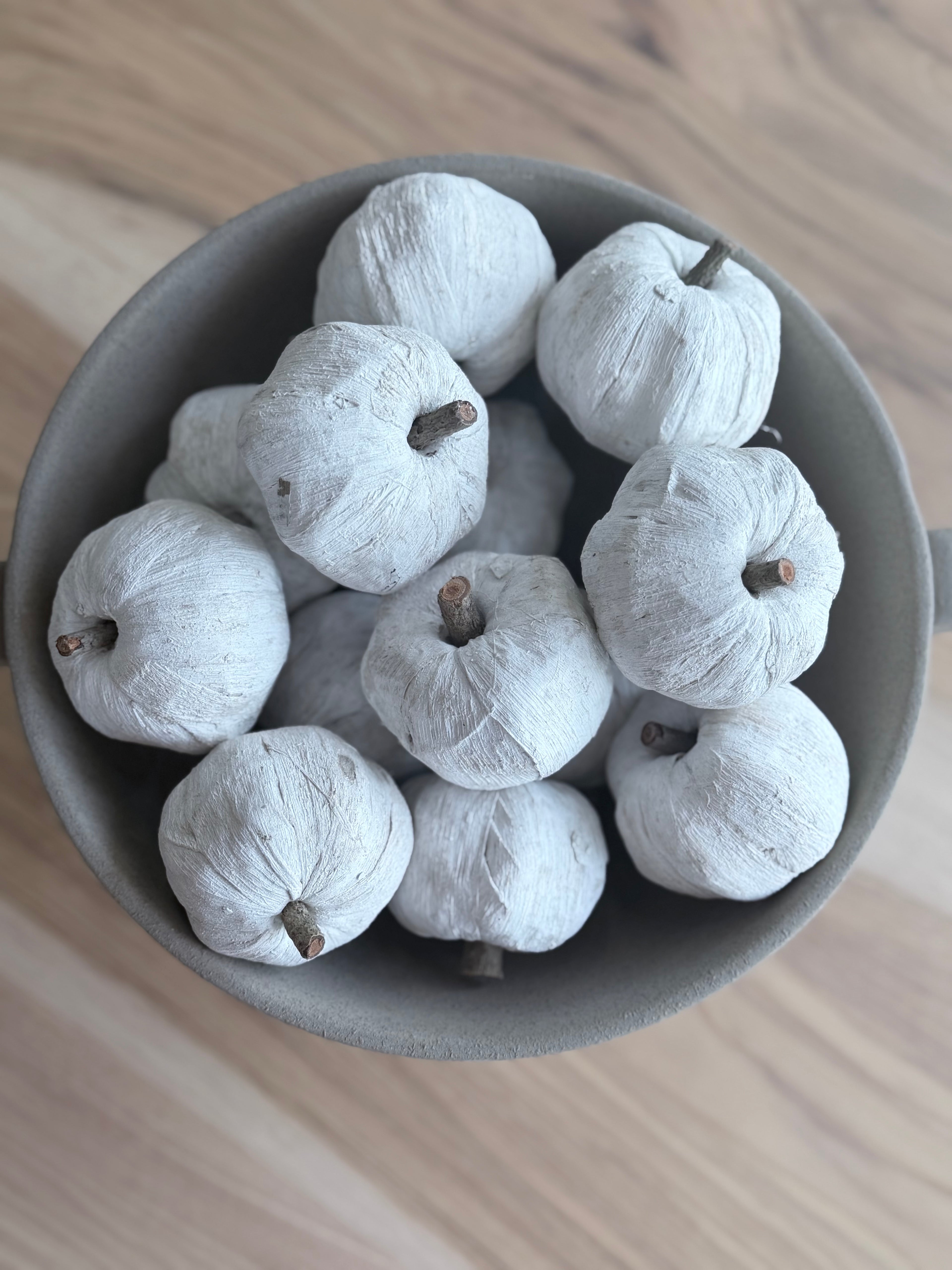 Bag of Faux Pumpkins