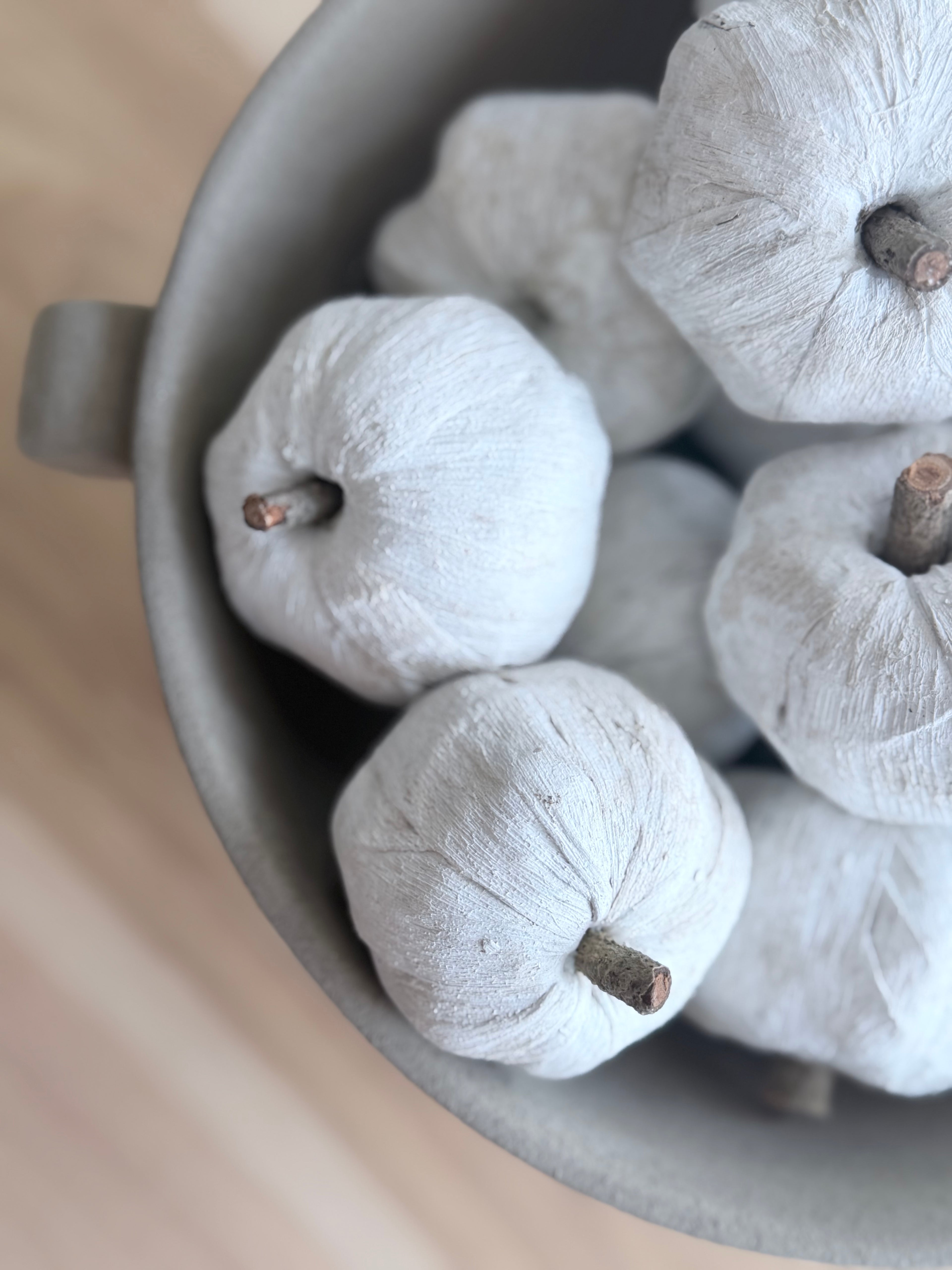 Bag of Faux Pumpkins