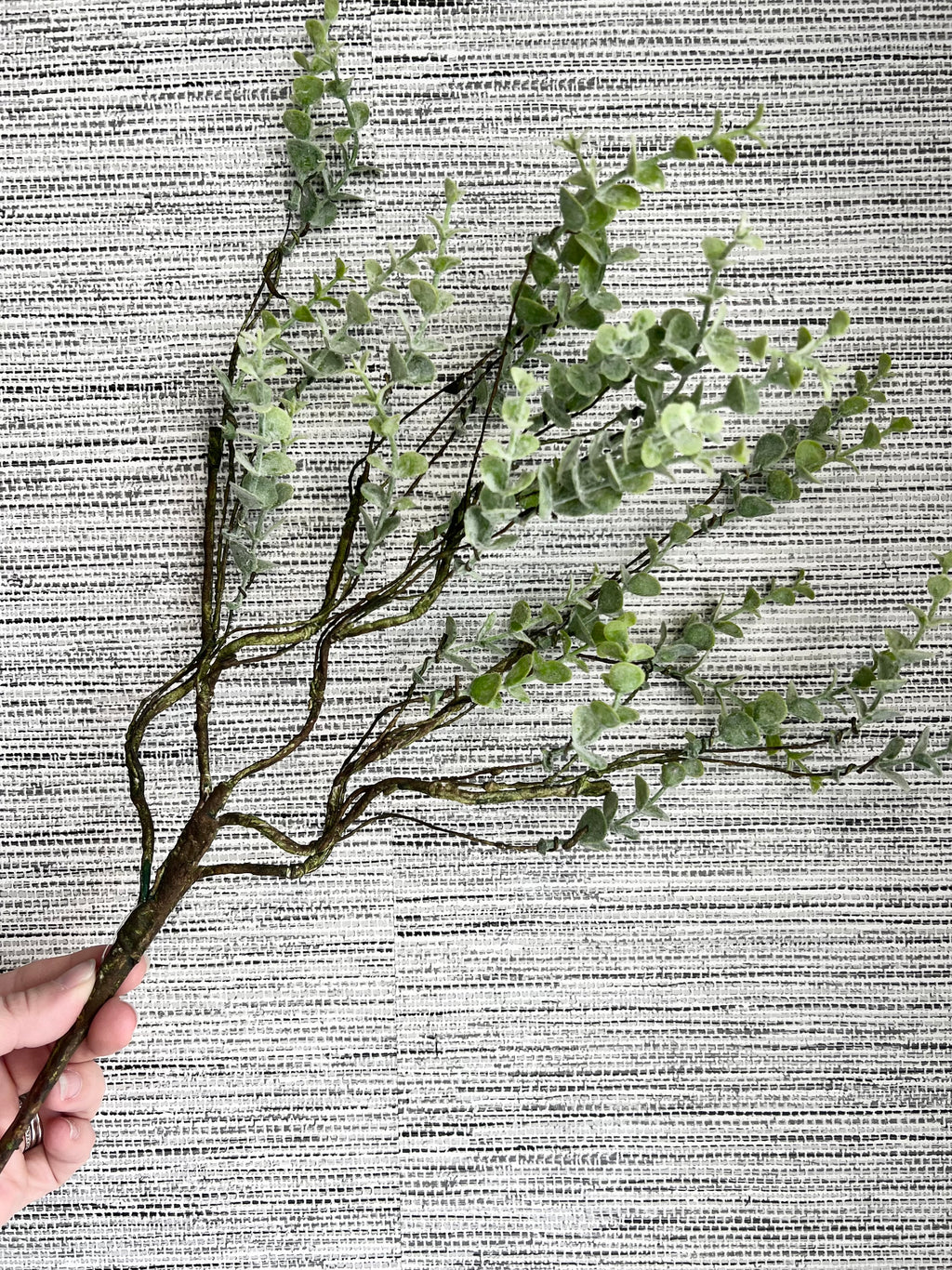 18" Boxwood Spray