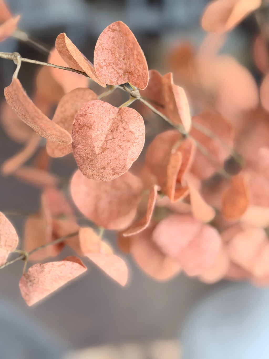 Fall Orange Eucalyptus 34"