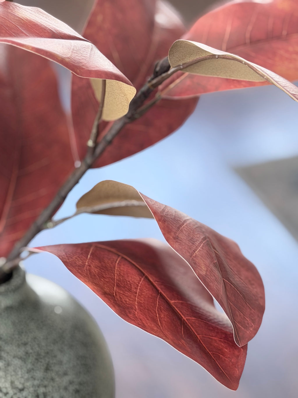 Magnolia Leaf Red