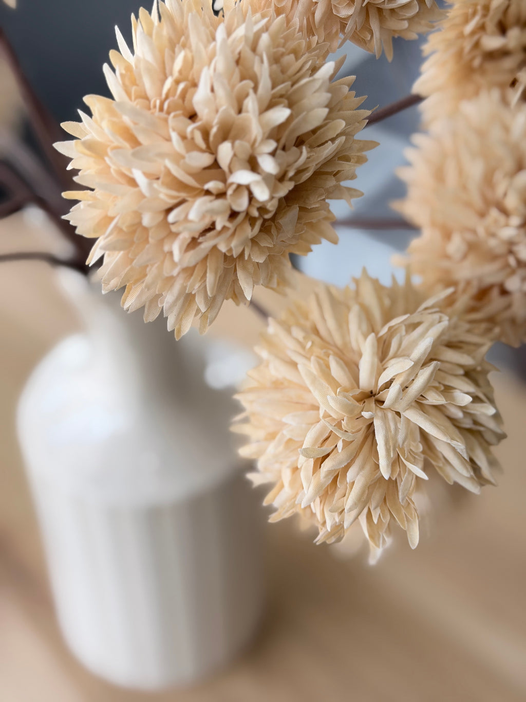 Cream Allium Bunch