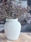 Plum Meadow Grass