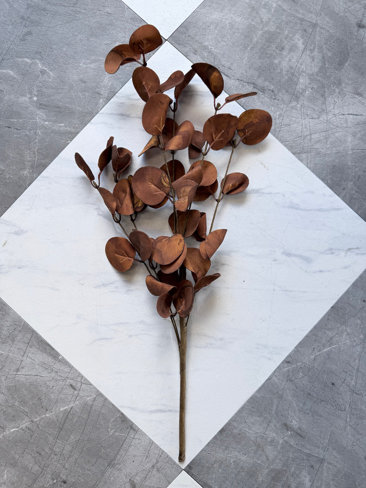 16" Coffee Eucalyptus Leaf