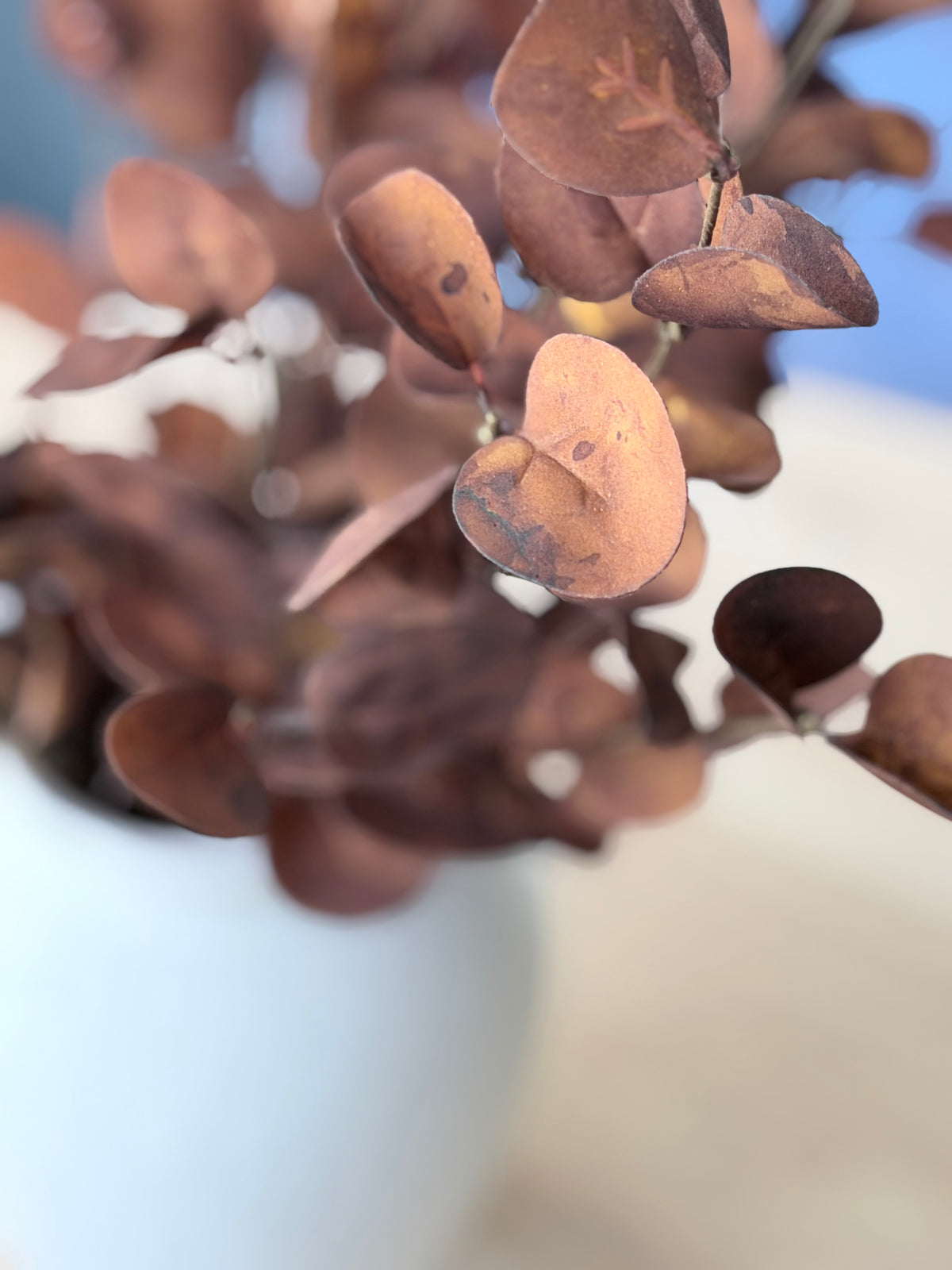16" Coffee Eucalyptus Leaf