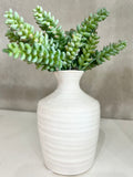 8" Sedum