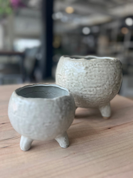 Noah Pot