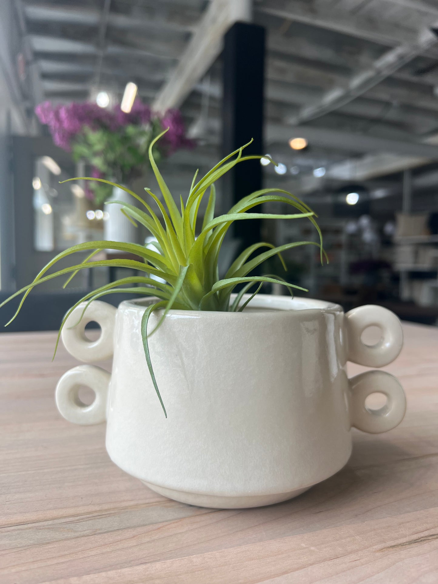 Lizzy 2-Handle Pot
