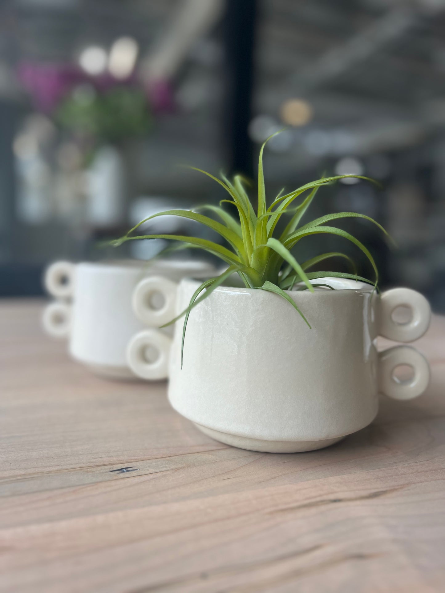 Lizzy 2-Handle Pot