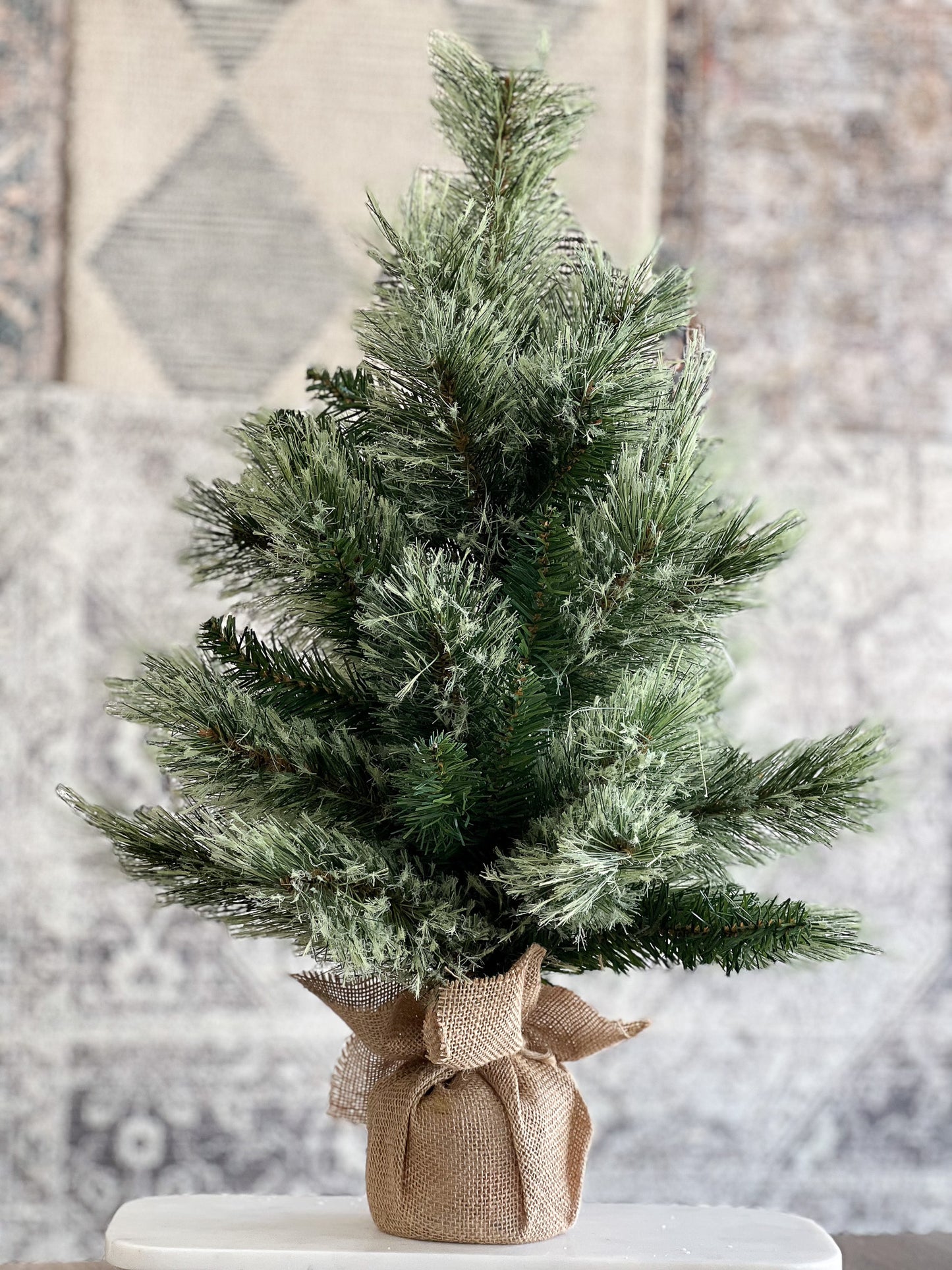 24" Cashmere Spruce Tree
