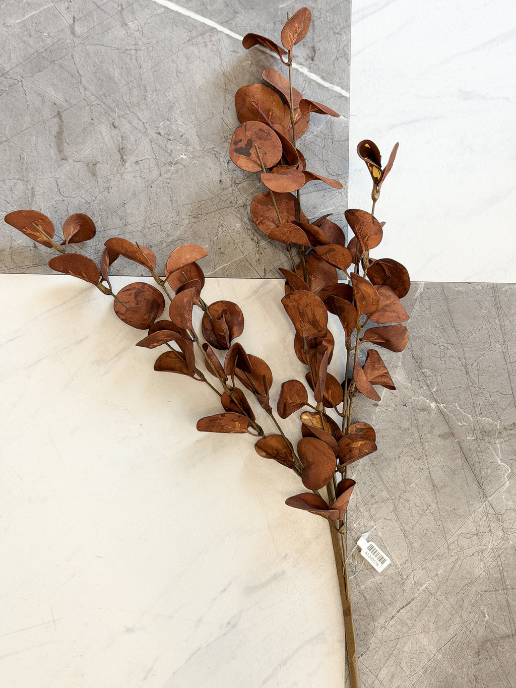 26" Coffee Eucalyptus Stem
