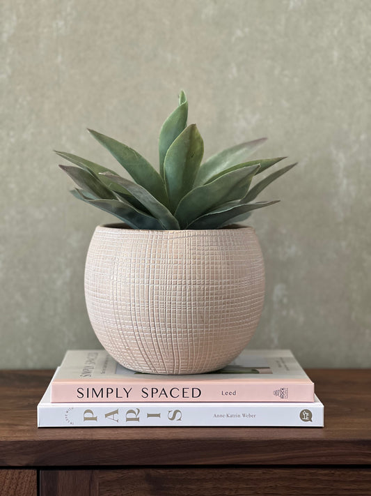 Potted Pilea