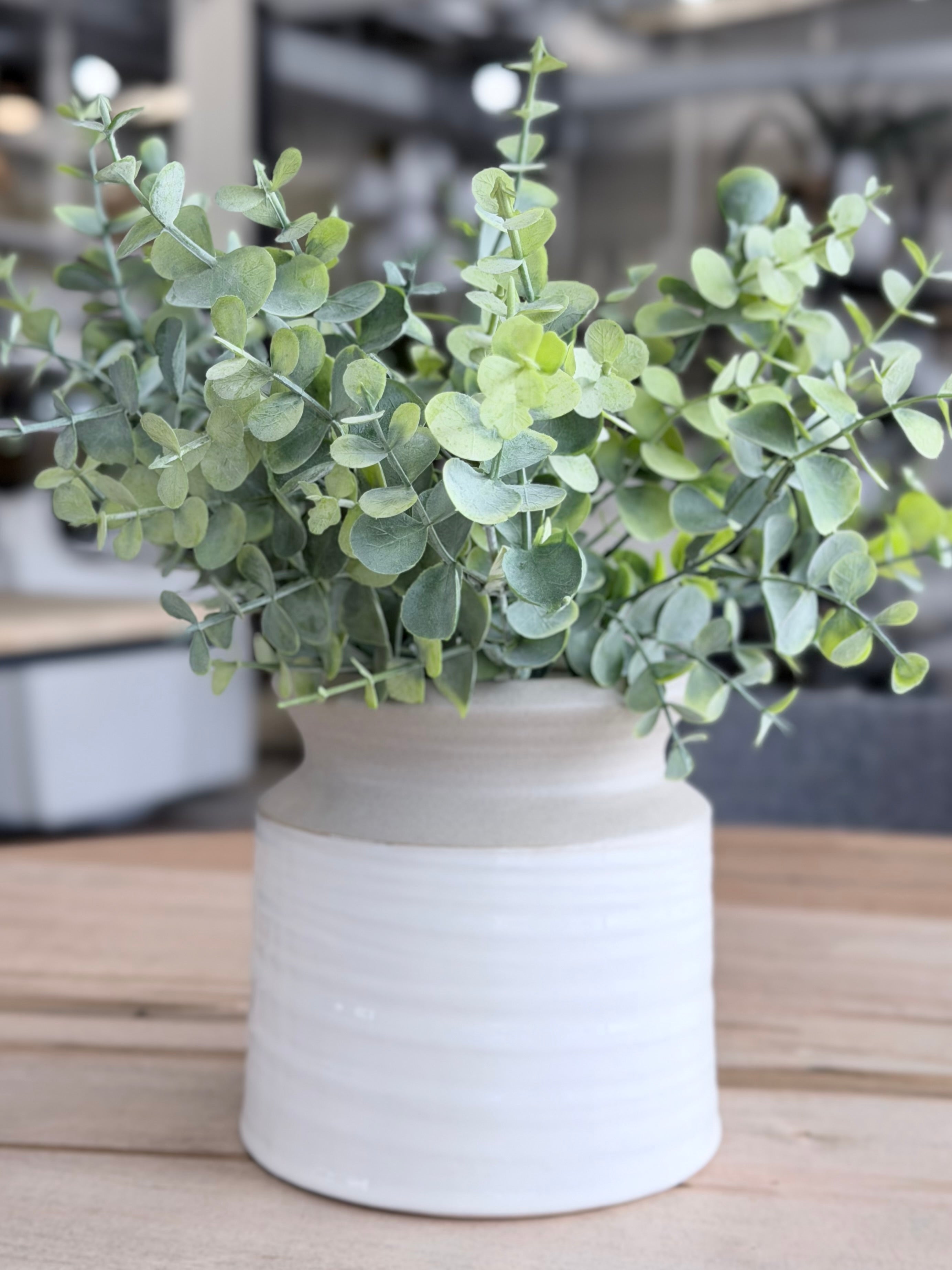 Frosted Eucalyptus Bush 13"