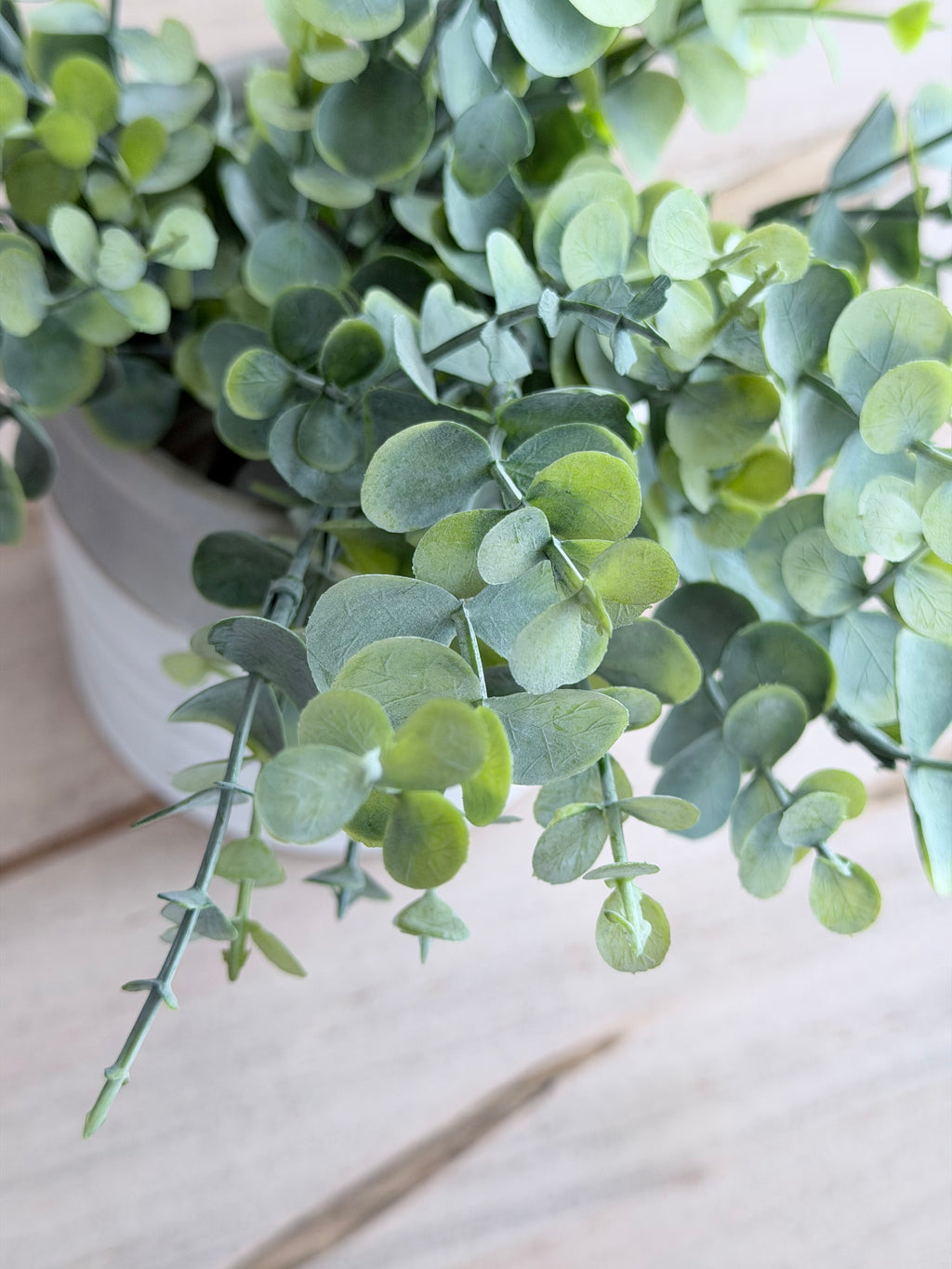 Frosted Eucalyptus Bush 13"