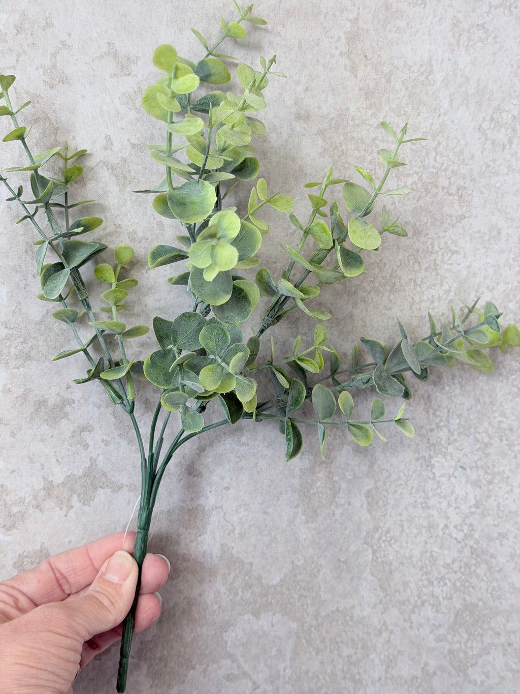 Frosted Eucalyptus Bush 13"