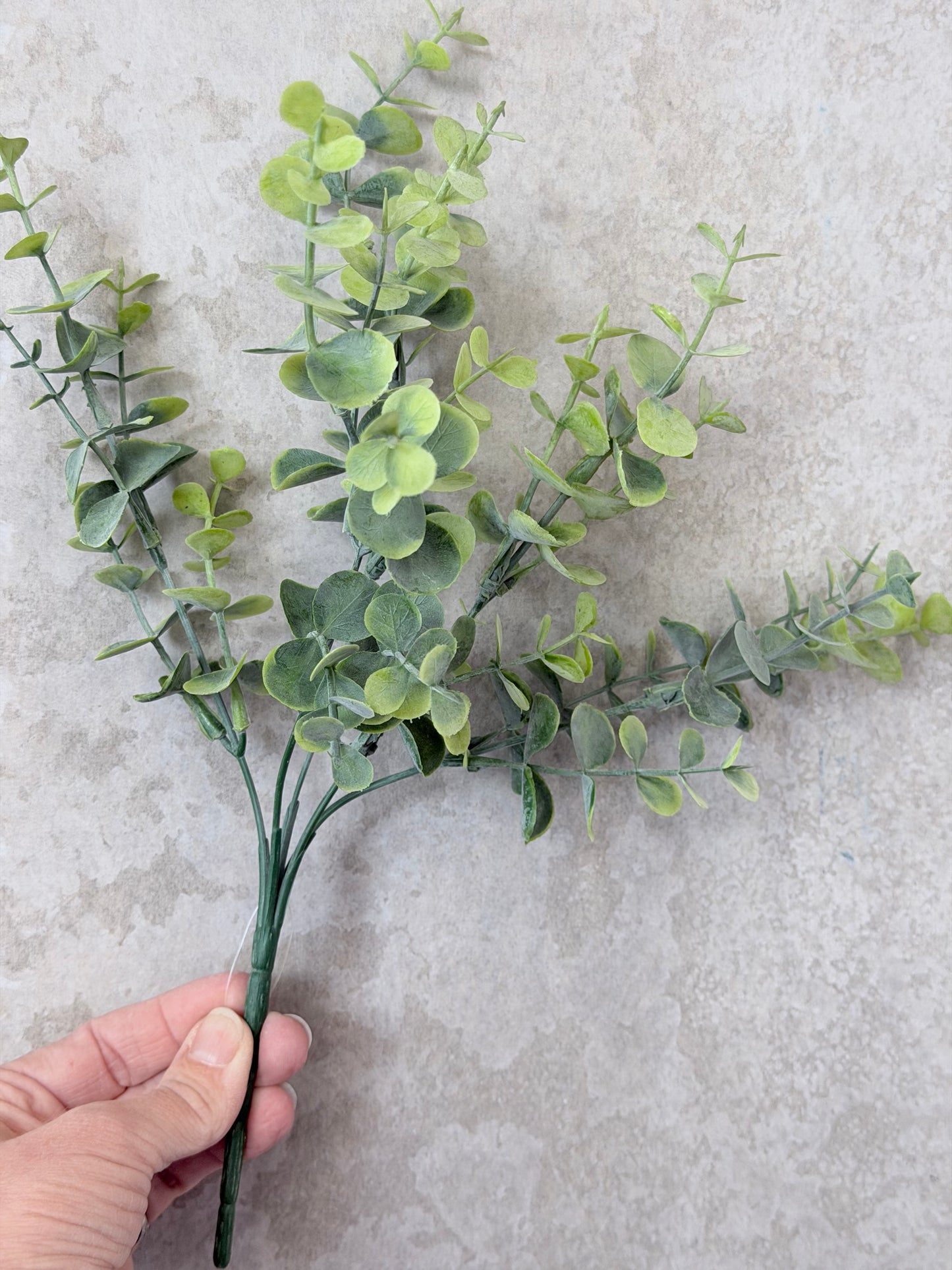 Frosted Eucalyptus Bush 13"