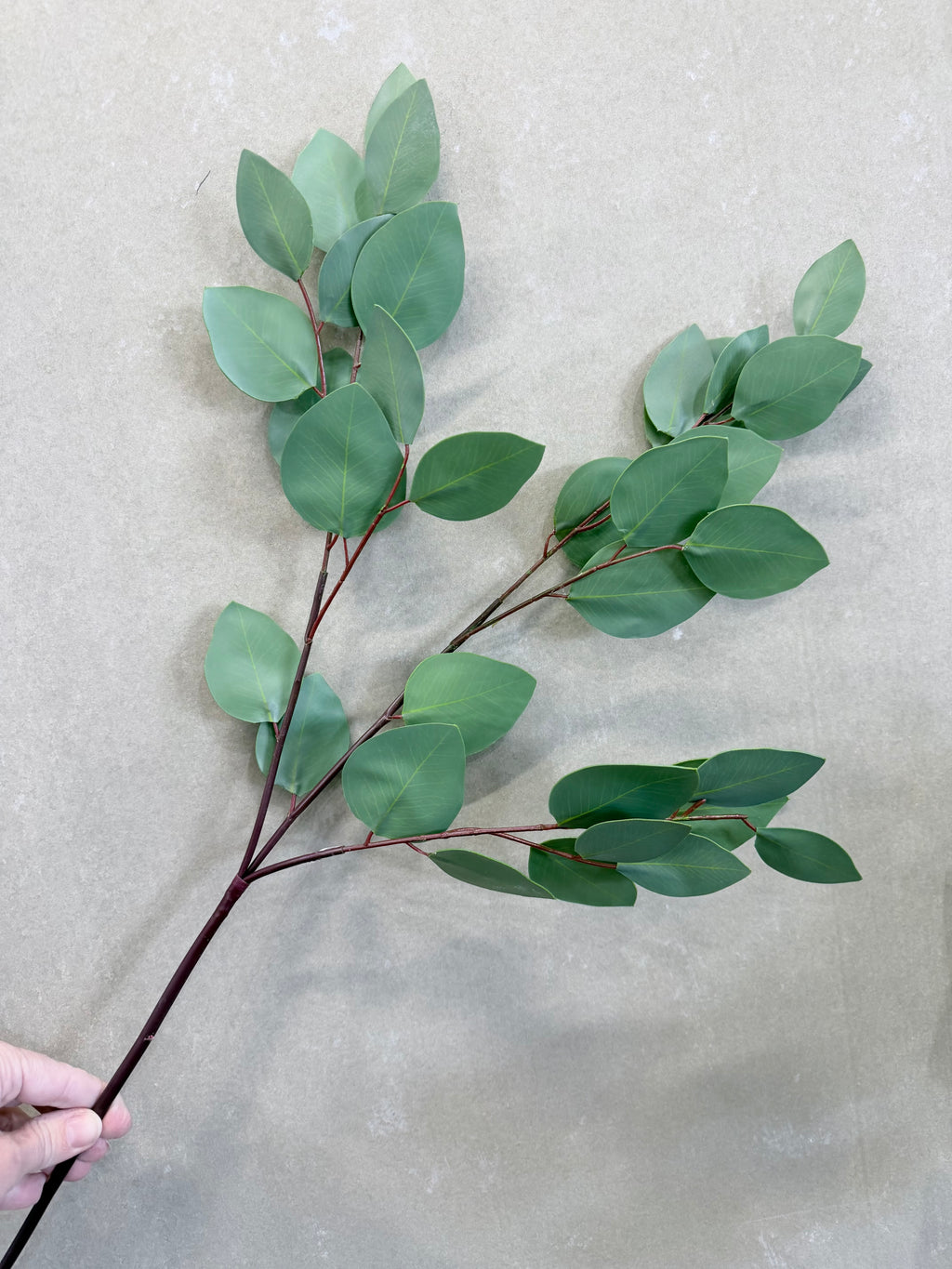 Heart Eucalyptus 28"