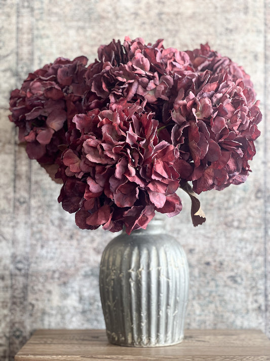 Empire Hydrangea-Burgandy