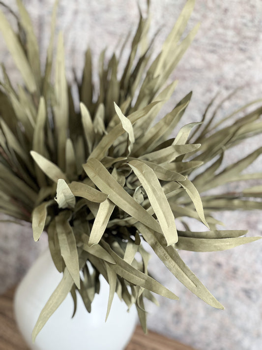 24" Olive Grass Bush