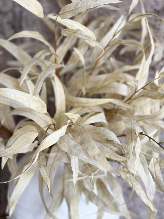 Bleached Eucalyptus Leaf