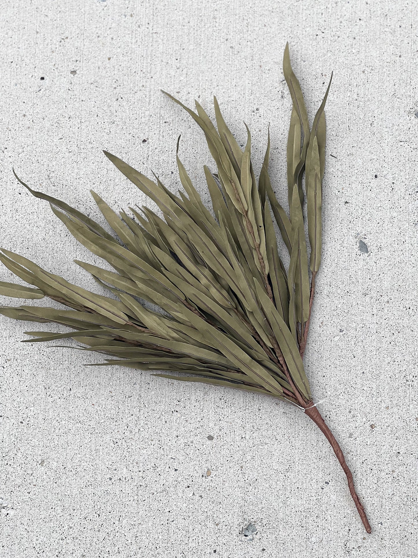 24" Olive Grass Bush