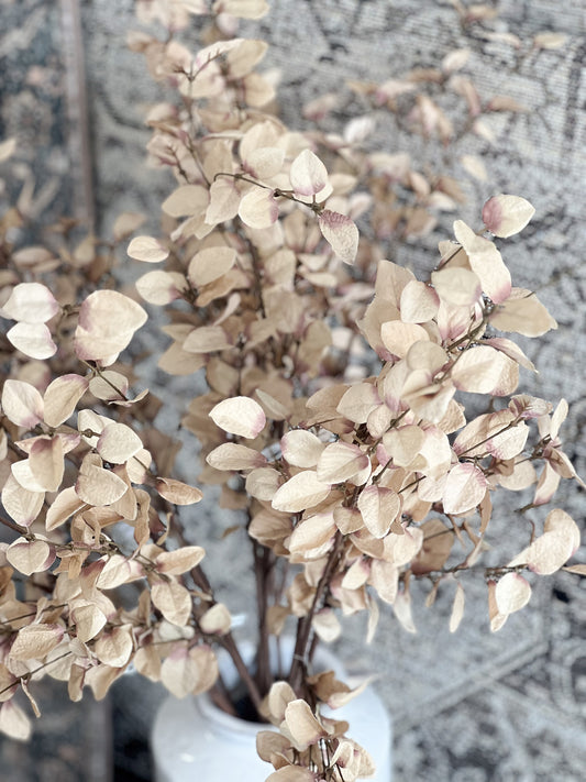 Fall Beige Eucalyptus