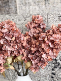 Fall Rust Hydrangea
