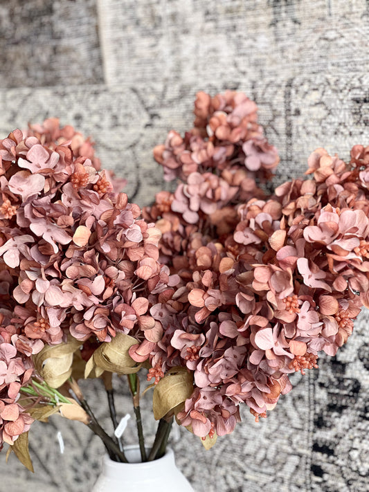 Fall Rust Hydrangea