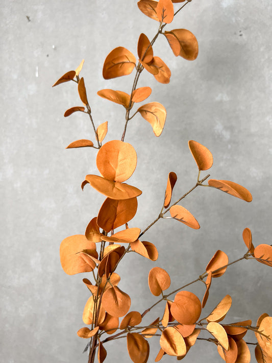 35" Fall Rust Eucalyptus