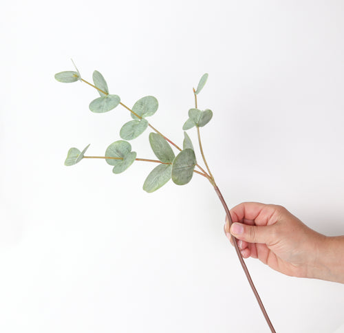 18" Round Eucalyptus