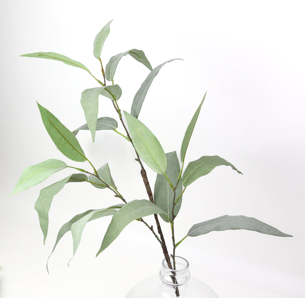 Eucalyptus Leaf