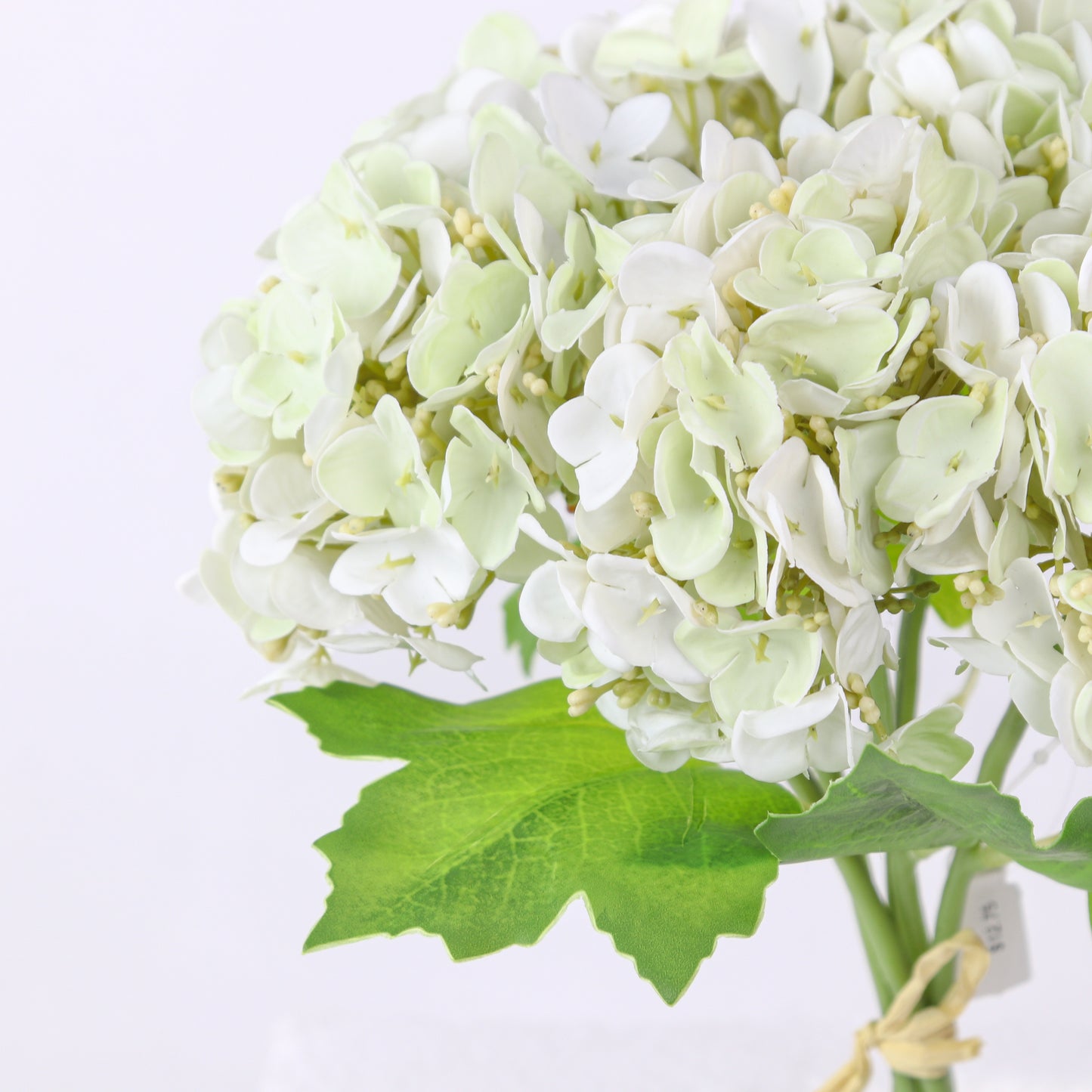 Hydrangea Bundle White